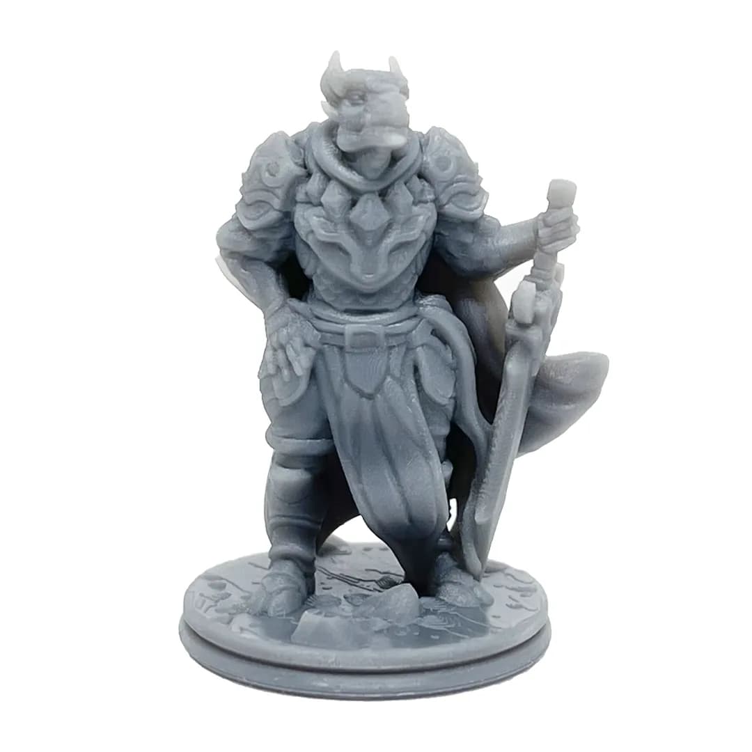 Imagen de #911 A - Dragonborn Paladín - 25mm
