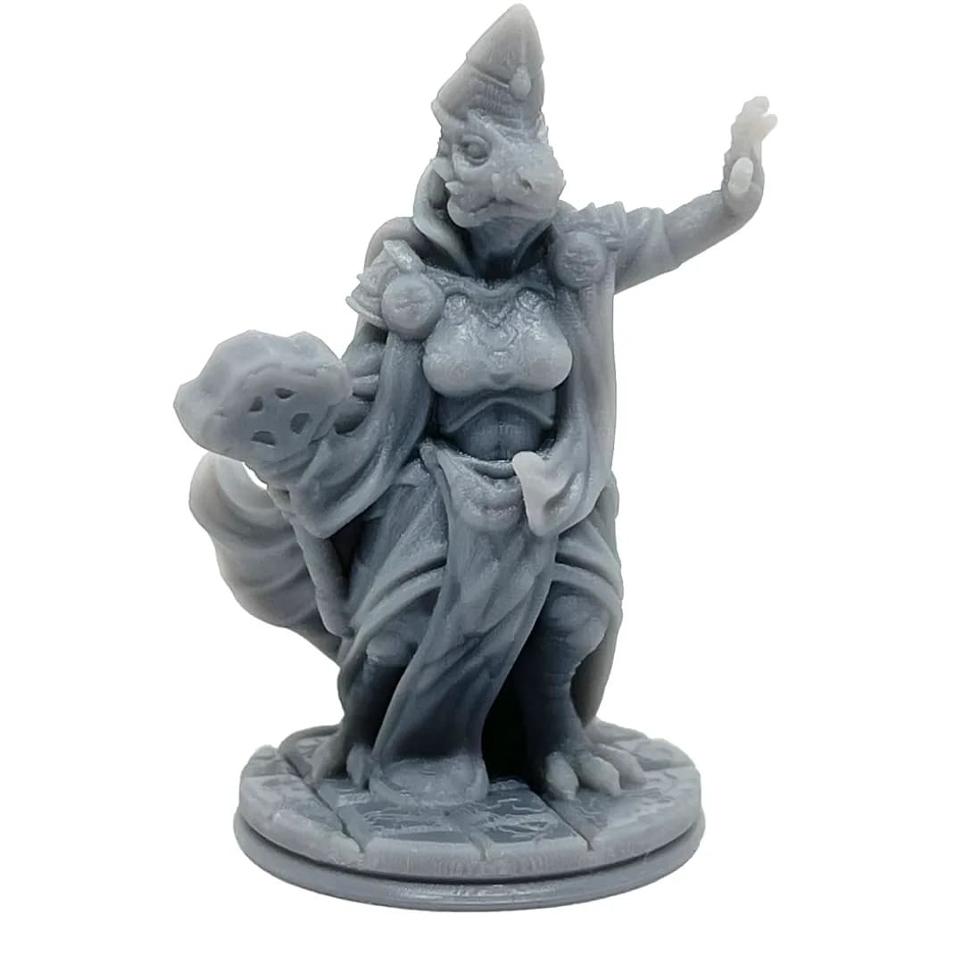 Imagen de #908 A - Dragonborn Clériga - 25mm