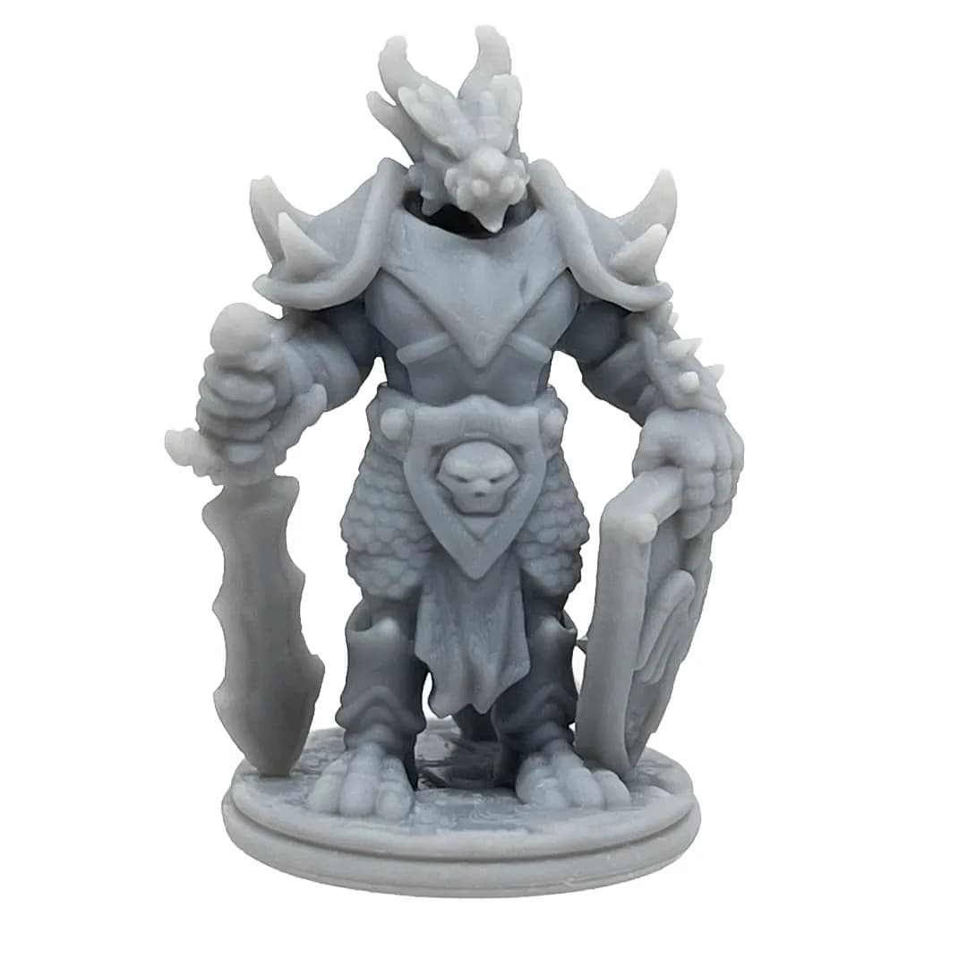 Imagen de #388 A - Dragonborn Paladín - 25mm