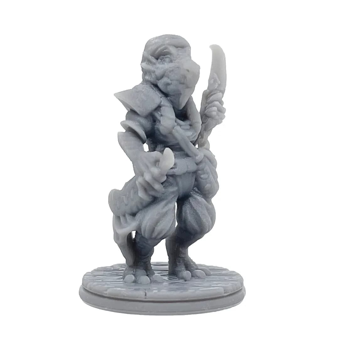 Imagen de #839 A - Dragonborn Pirata - 25mm
